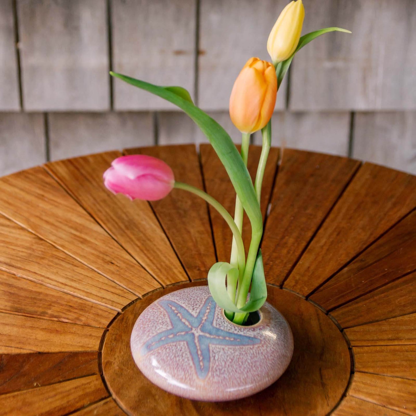 Small Round Ikebana, Purple Starfish