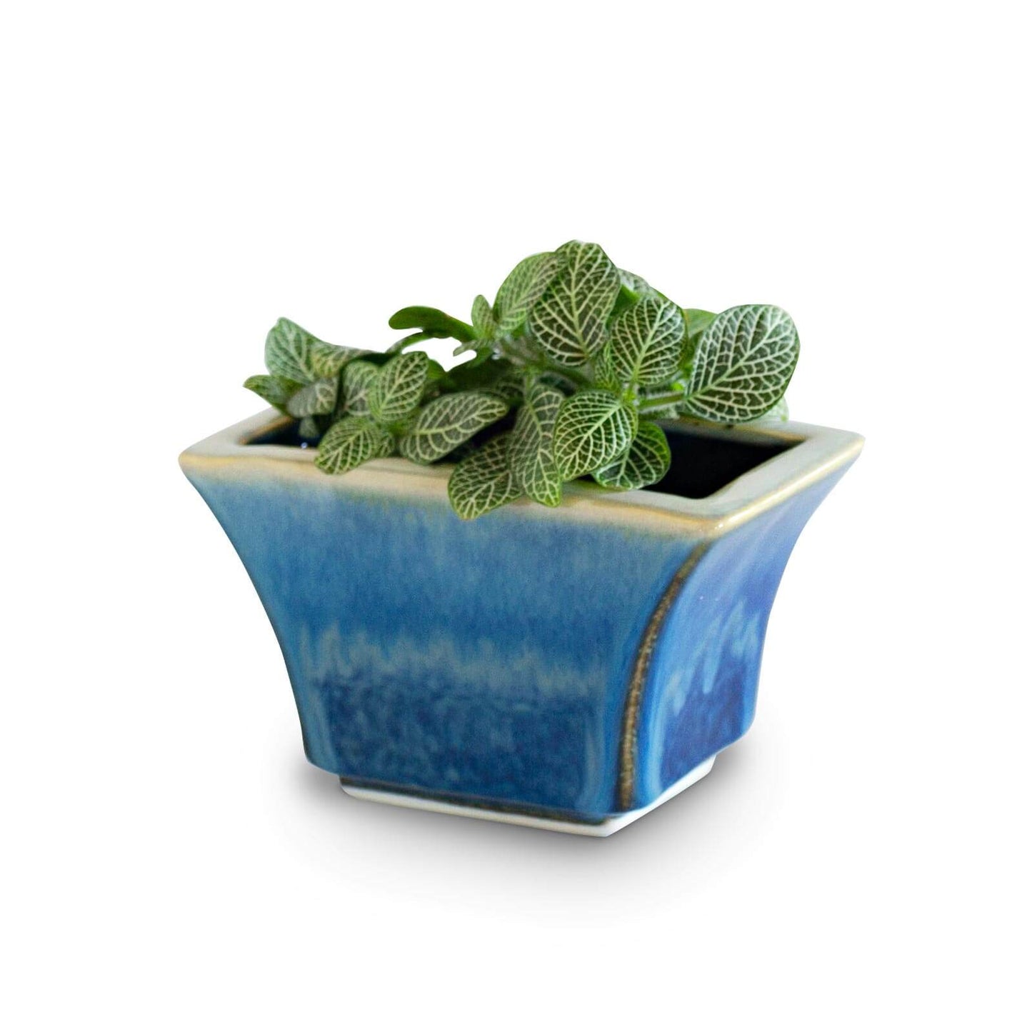 Handmade Pottery Windowsill Planter in Cobalt pattern made by Carroccia Tony in Italy
