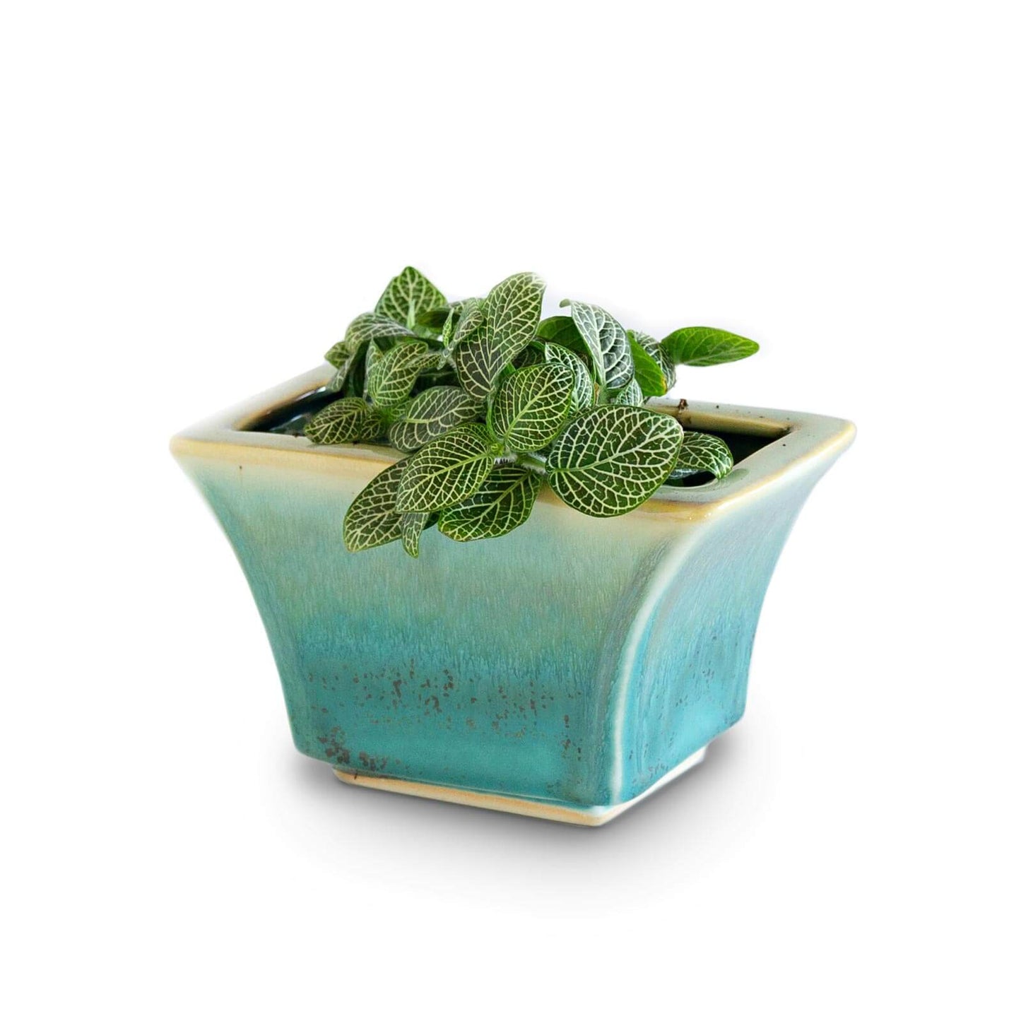 Handmade Pottery Windowsill Planter in Green Oribe pattern made by Carroccia Tony in Italy