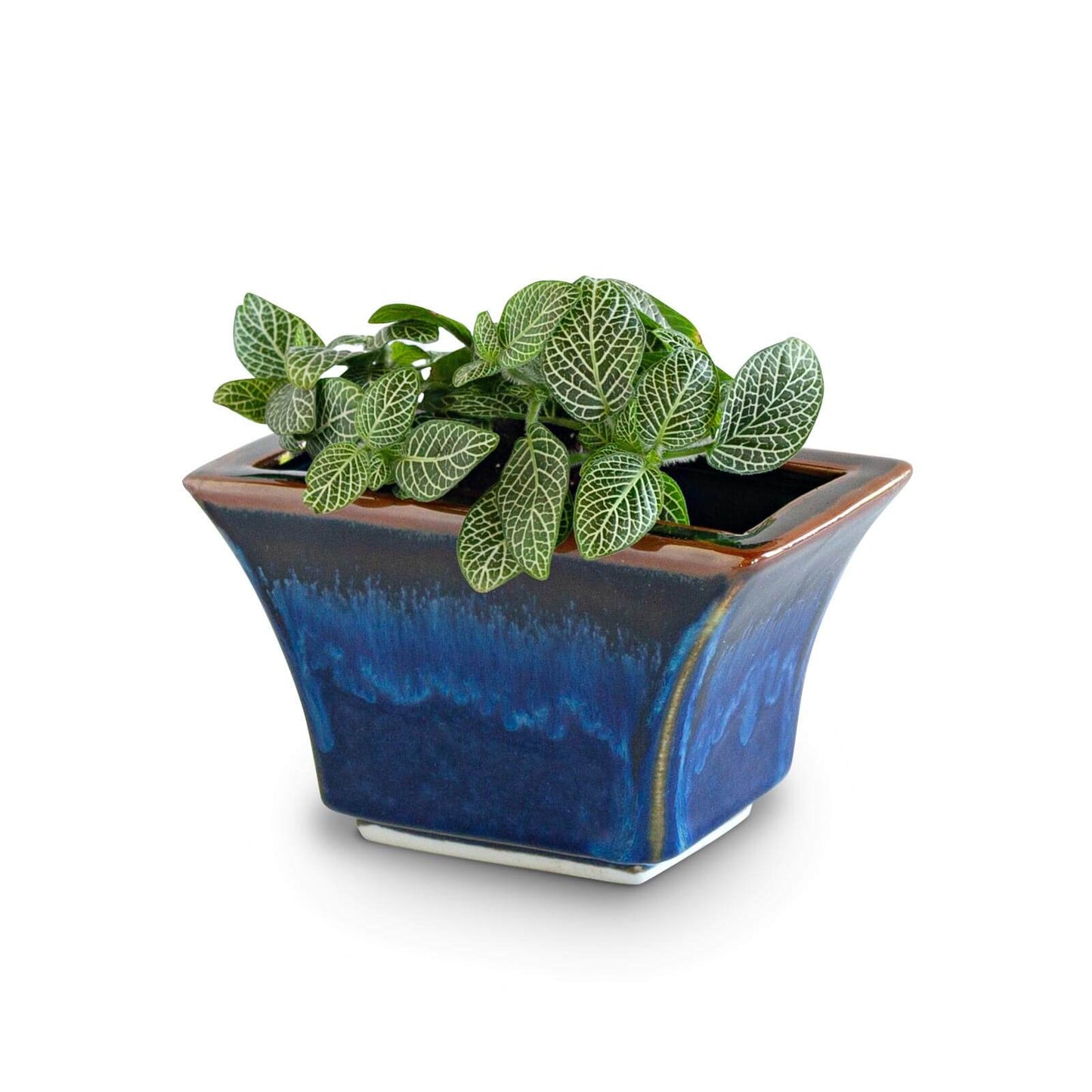 Handmade Pottery Windowsill Planter in Blue Hamada pattern made by Carroccia Tony in Italy