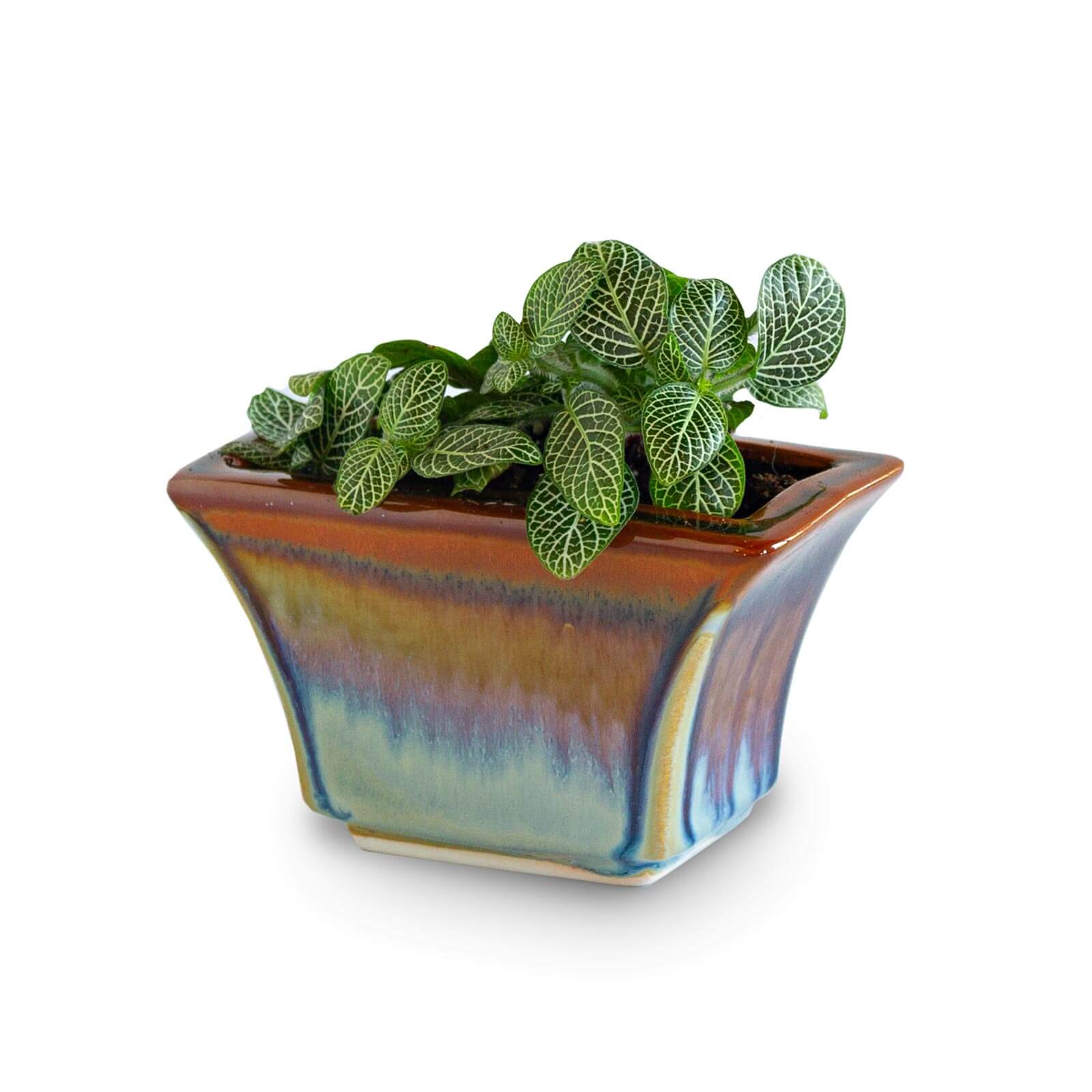 Handmade Pottery Windowsill Planter in Purple Hamada pattern made by Carroccia Tony  in Italy