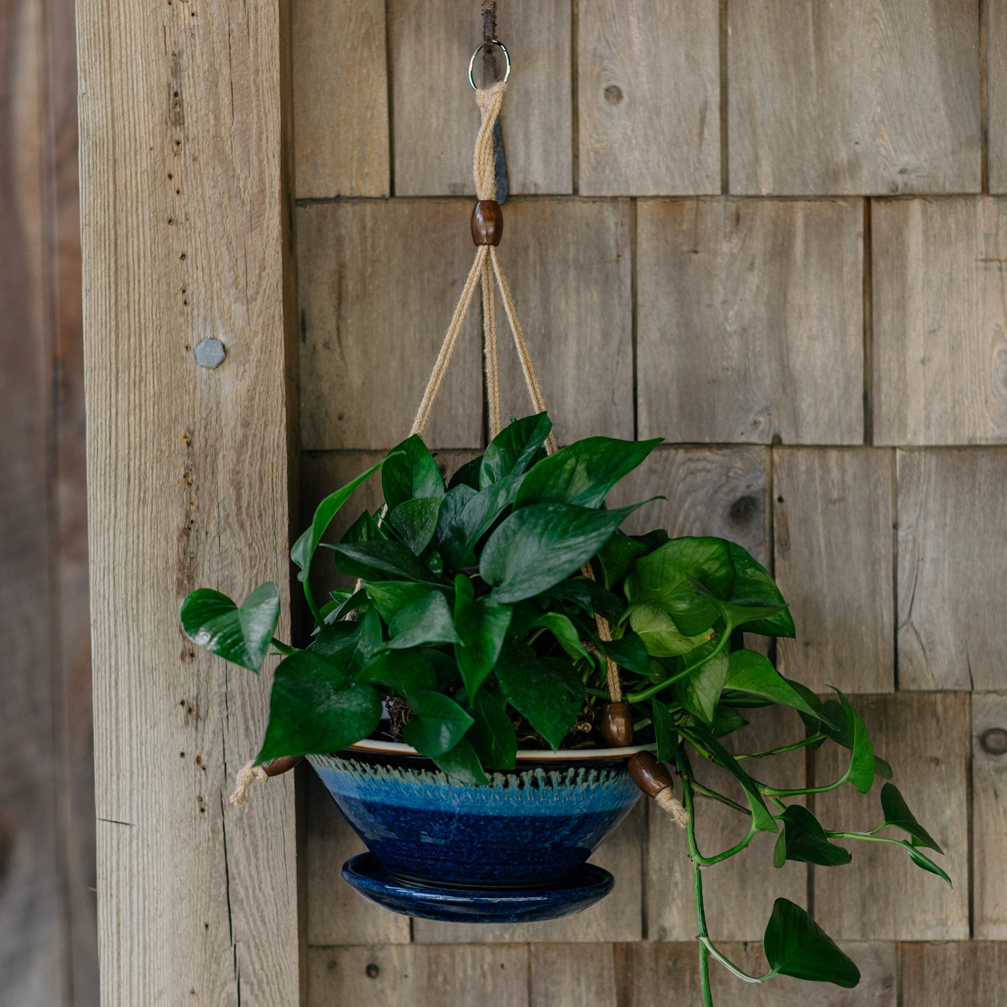 9-1/2 Inch Hanging Planter