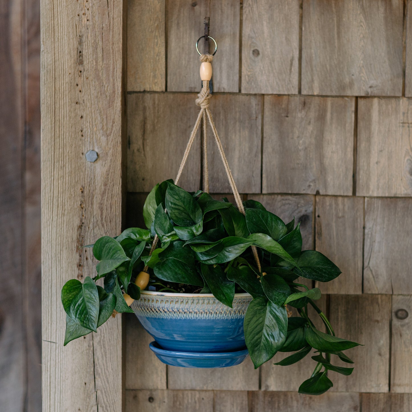 9-1/2 Inch Hanging Planter