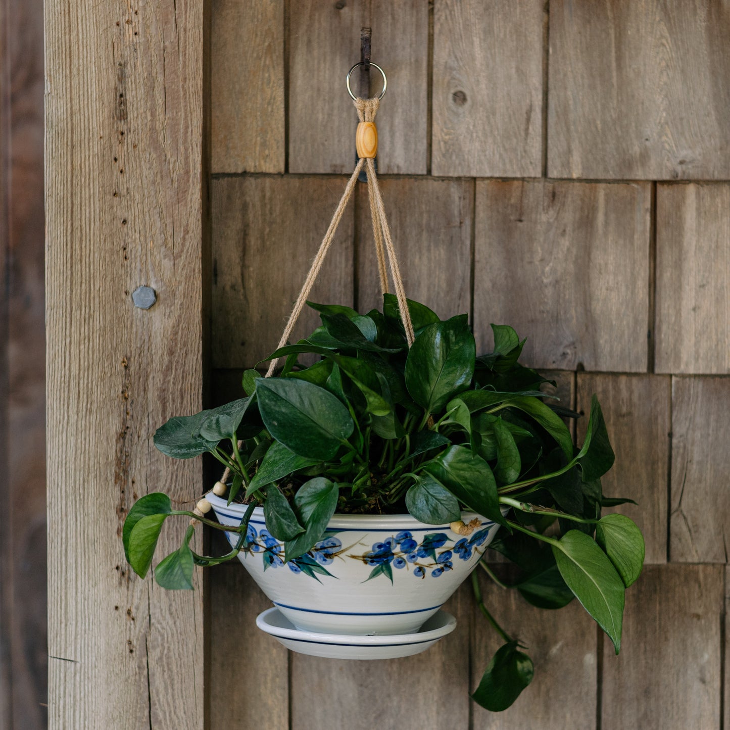 9-1/2 Inch Hanging Planter