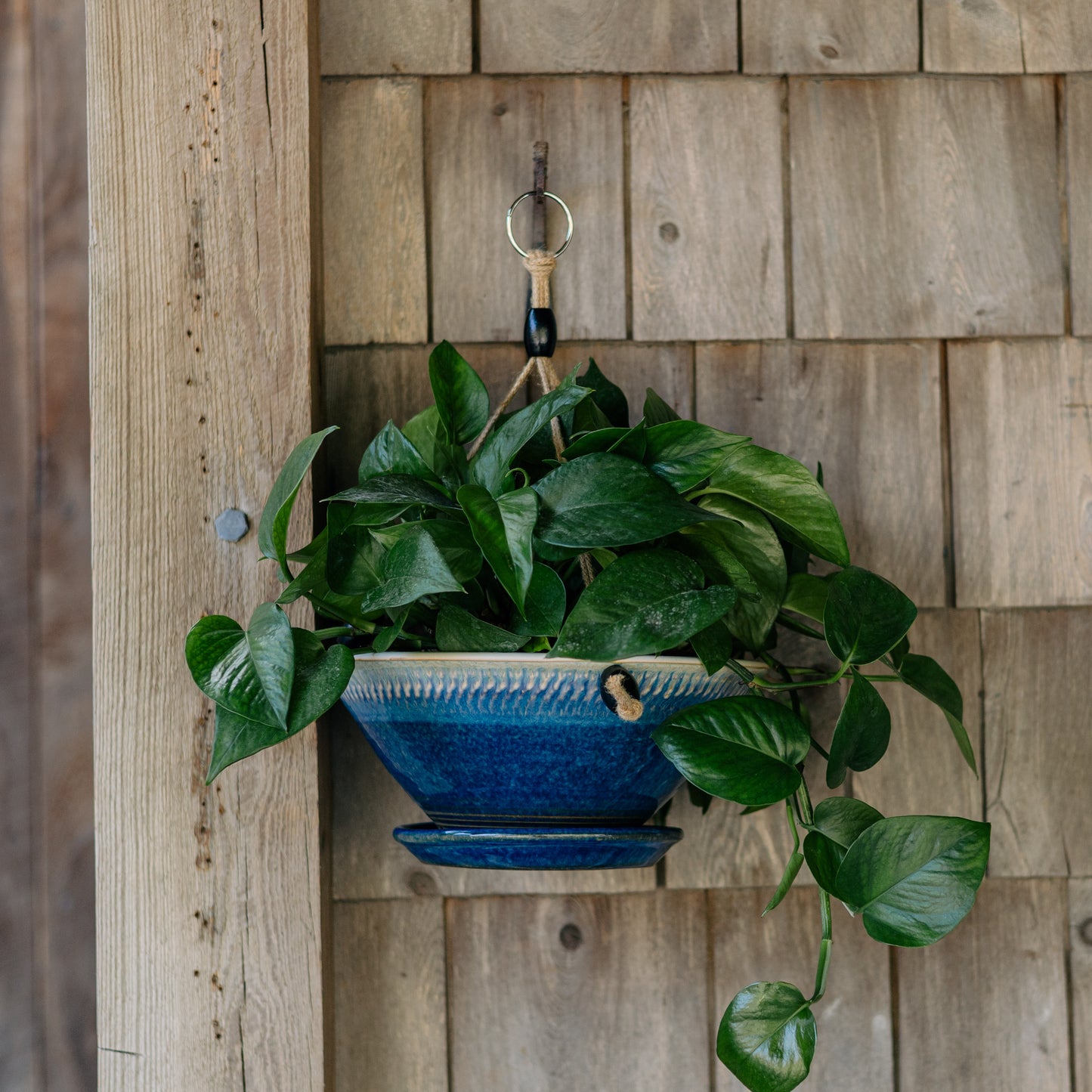 9-1/2 Inch Hanging Planter