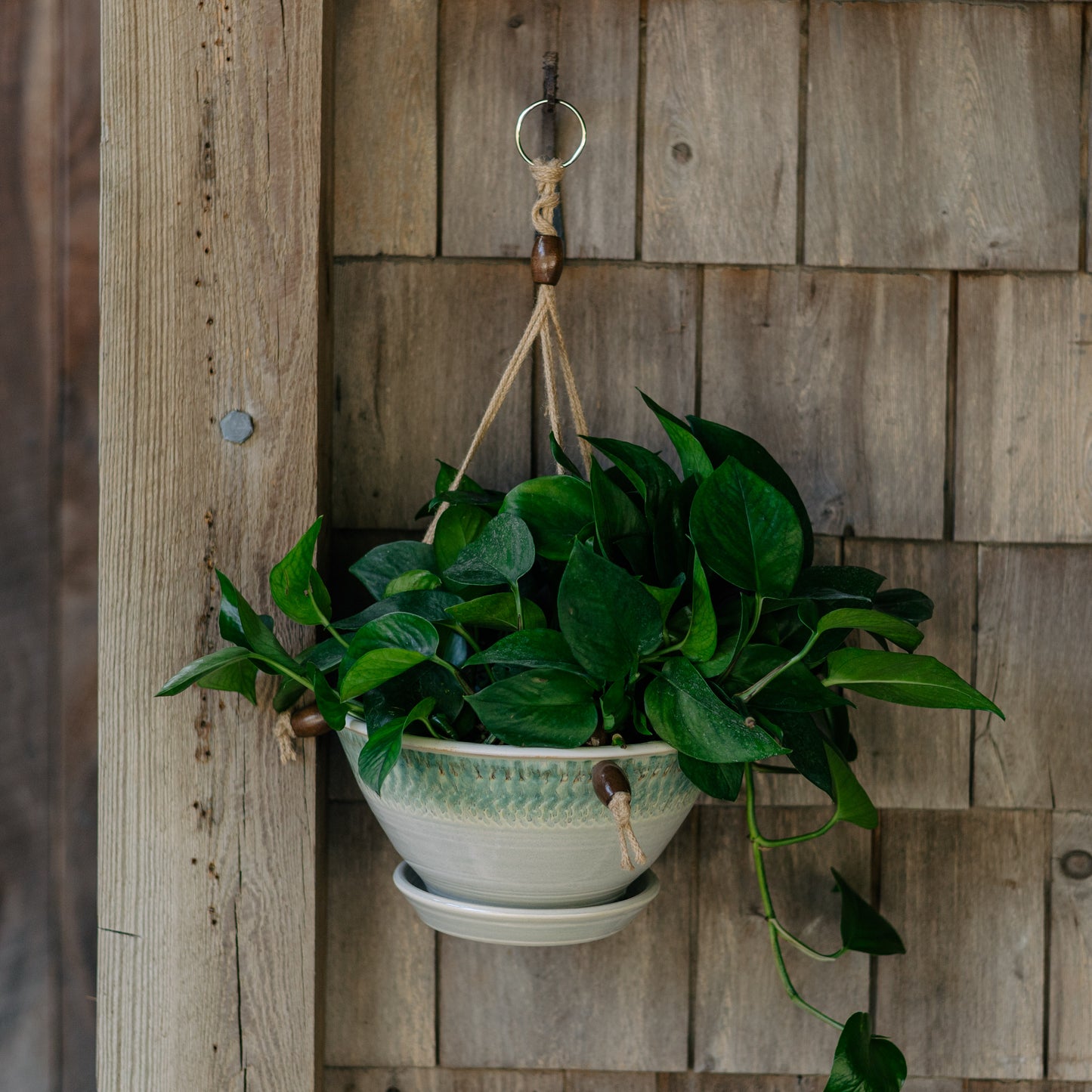 9-1/2 Inch Hanging Planter