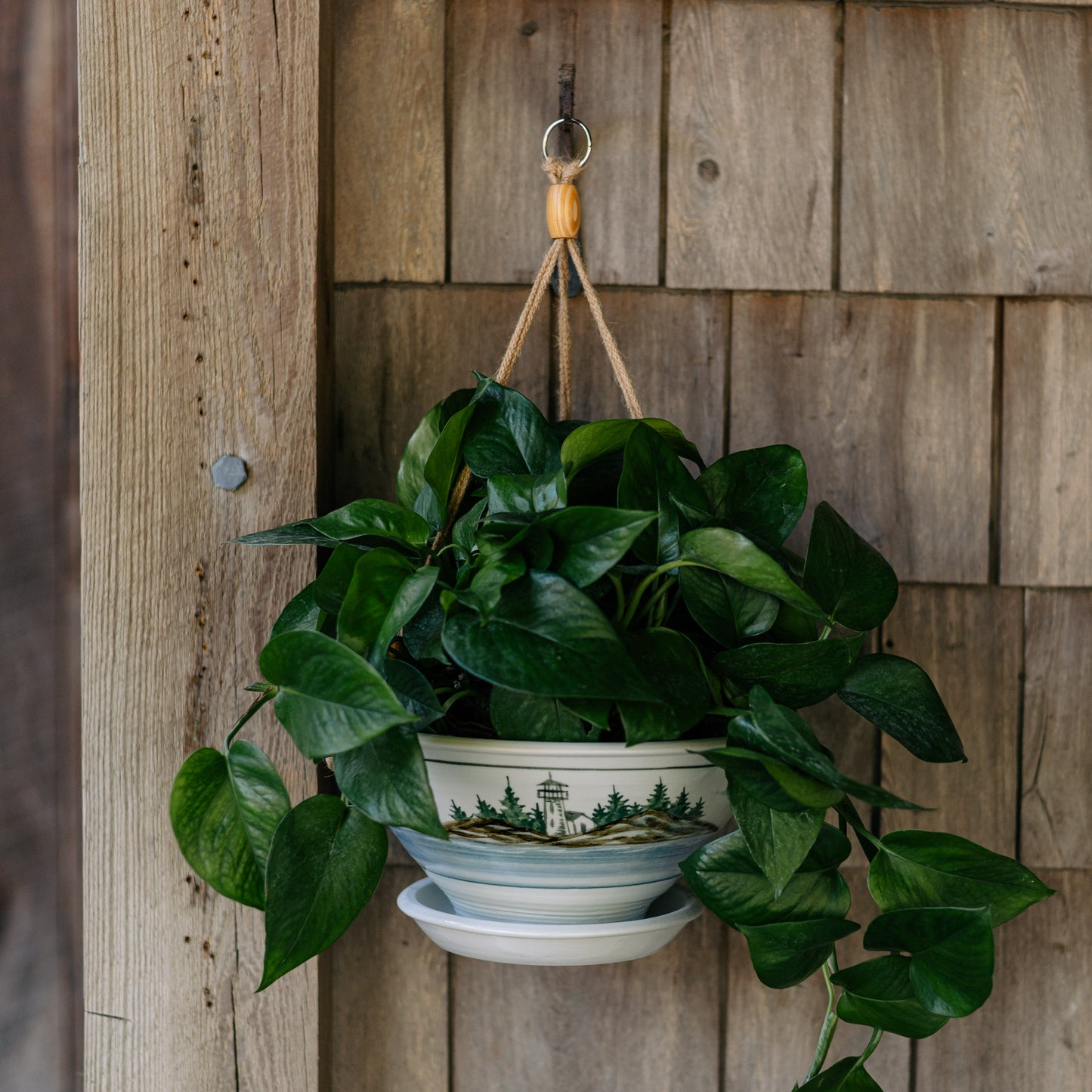 9-1/2 Inch Hanging Planter
