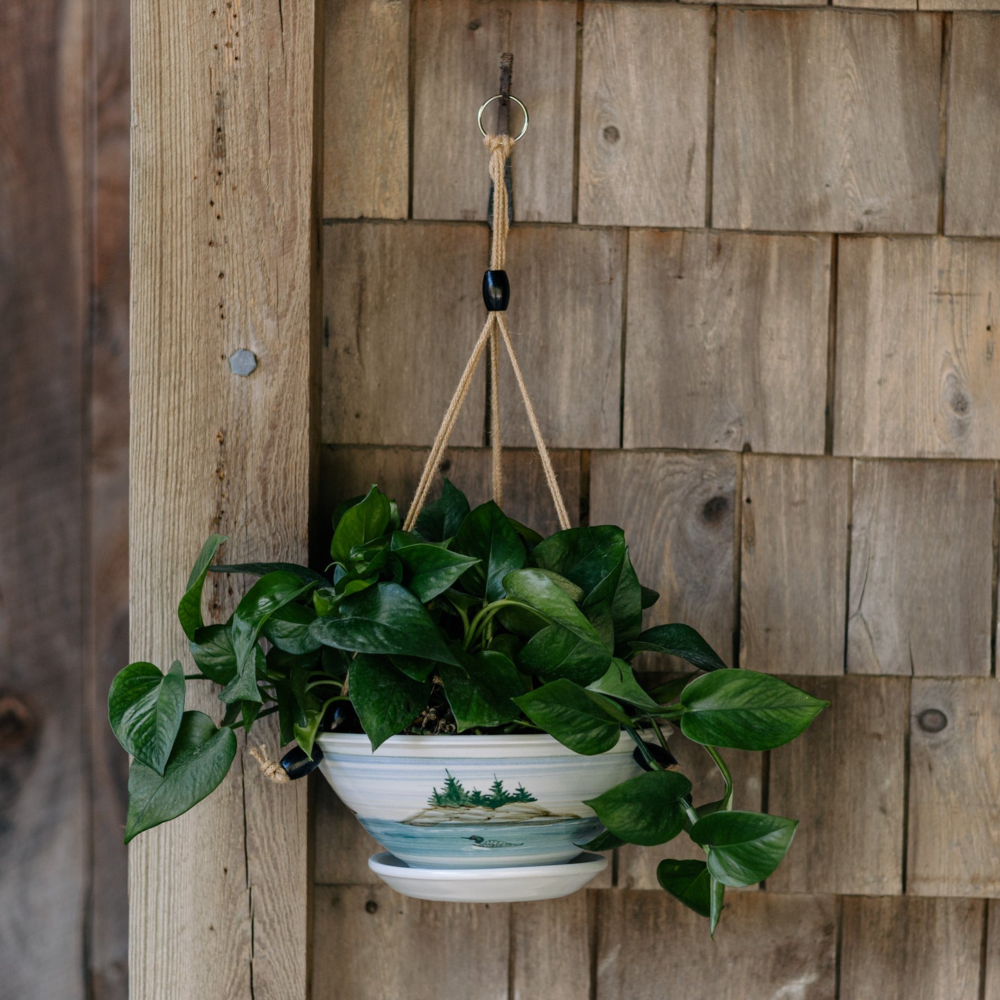 9-1/2 Inch Hanging Planter