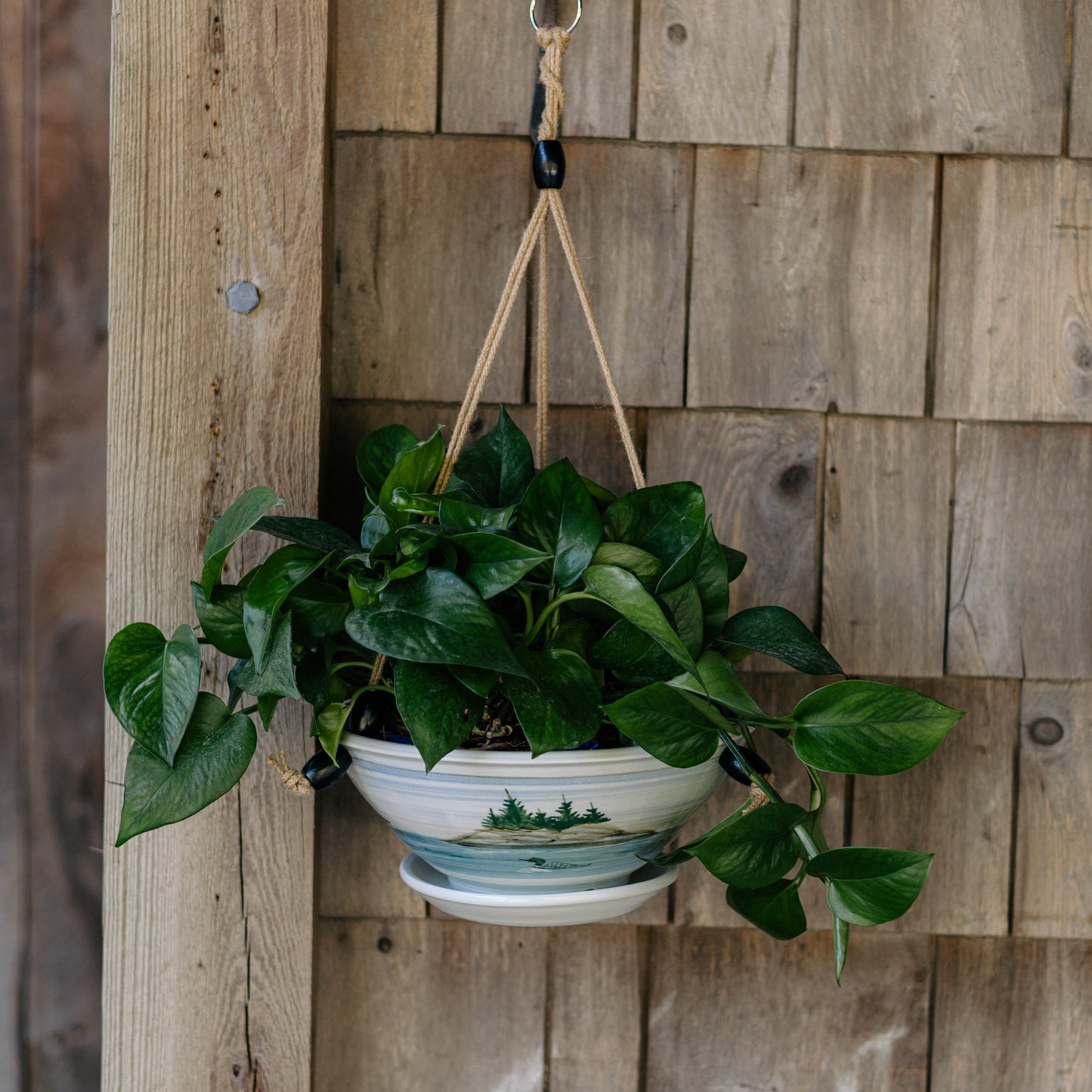 9-1/2 Inch Hanging Planter