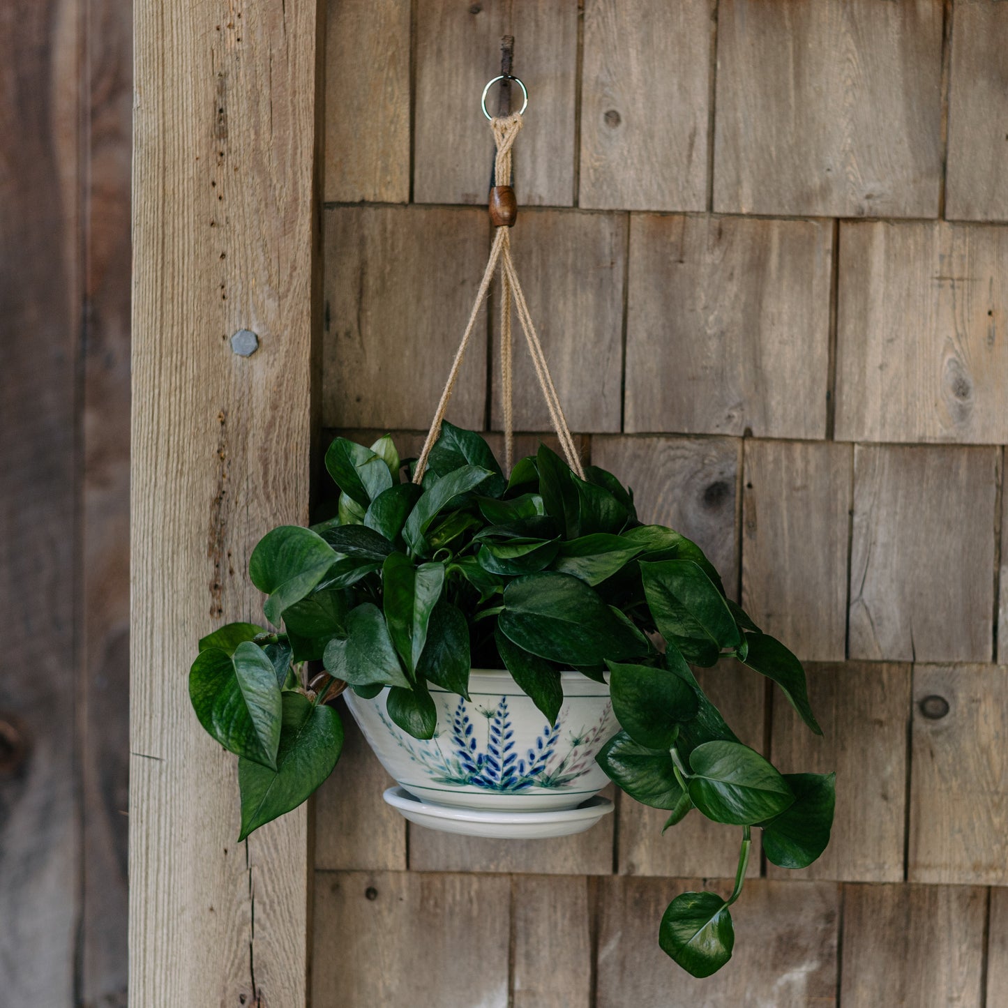 9-1/2 Inch Hanging Planter