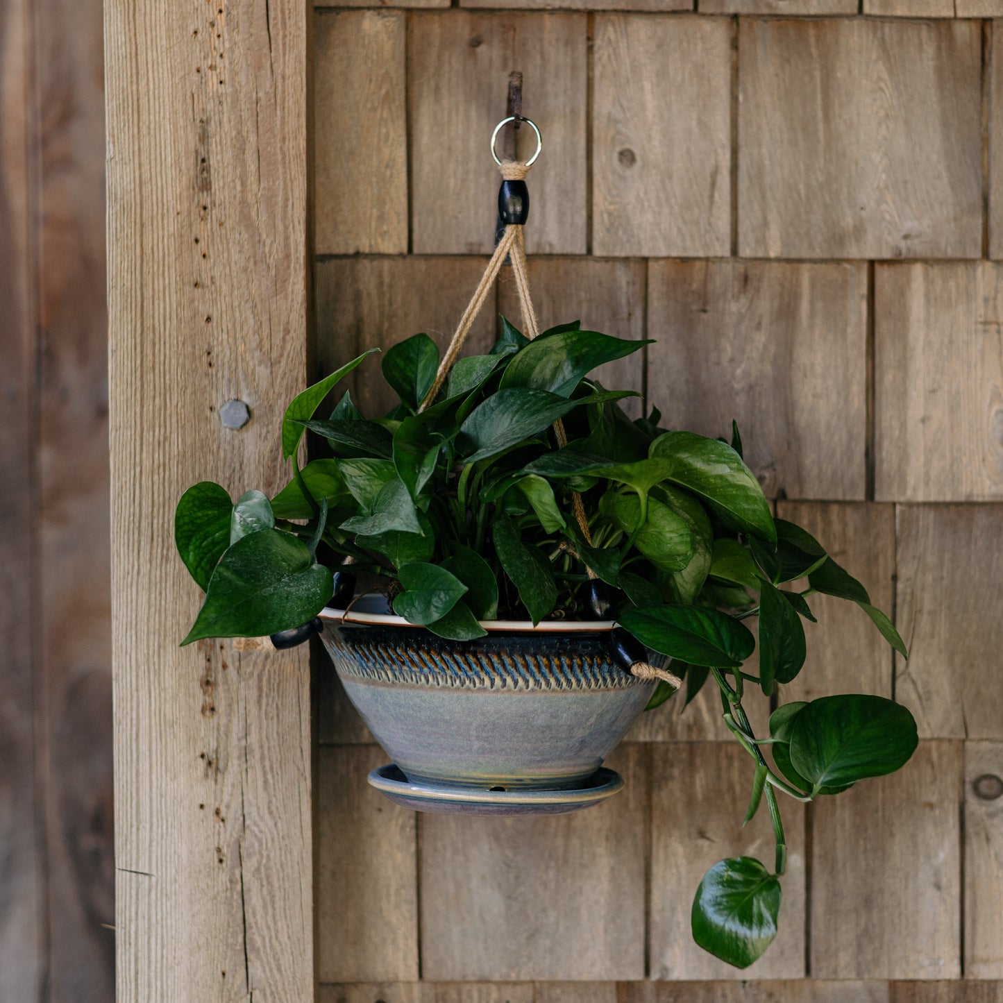 9-1/2 Inch Hanging Planter