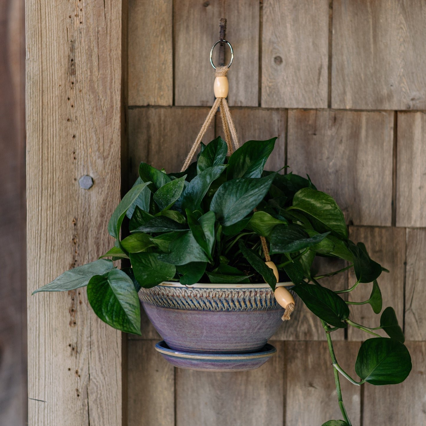 9-1/2 Inch Hanging Planter