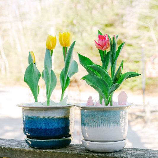 Handmade Pottery Ring Planters made by Carroccia Tony  in Italy