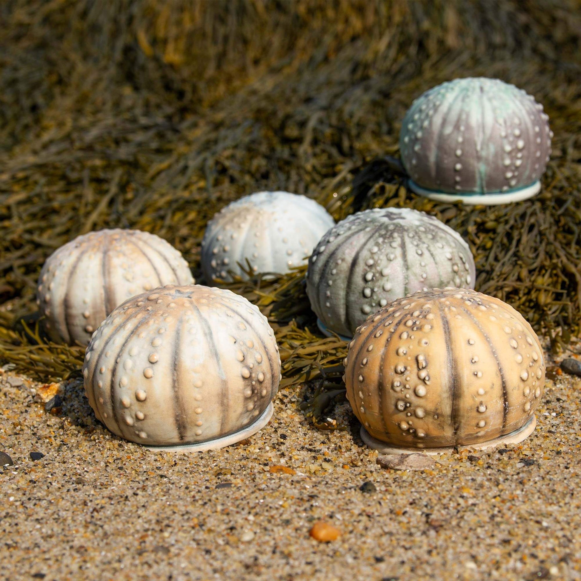 Handmade Salt Urchin Salt Shaker made by Carroccia Tony  in Italy