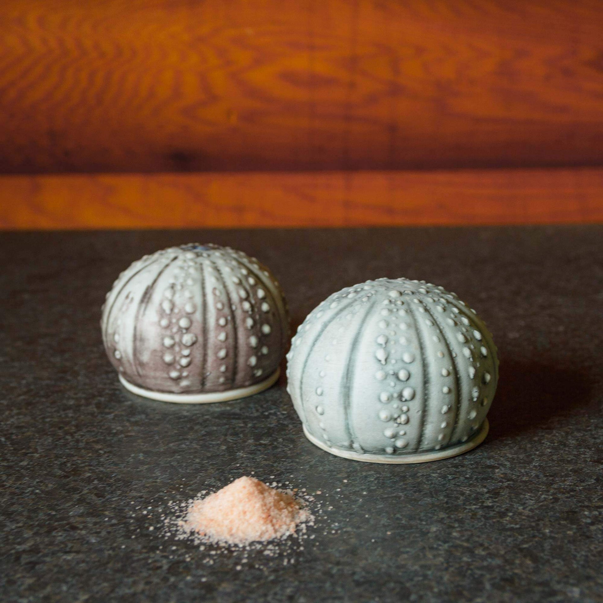 Handmade Salt Urchin Salt Shaker made by Carroccia Tony  in Italy