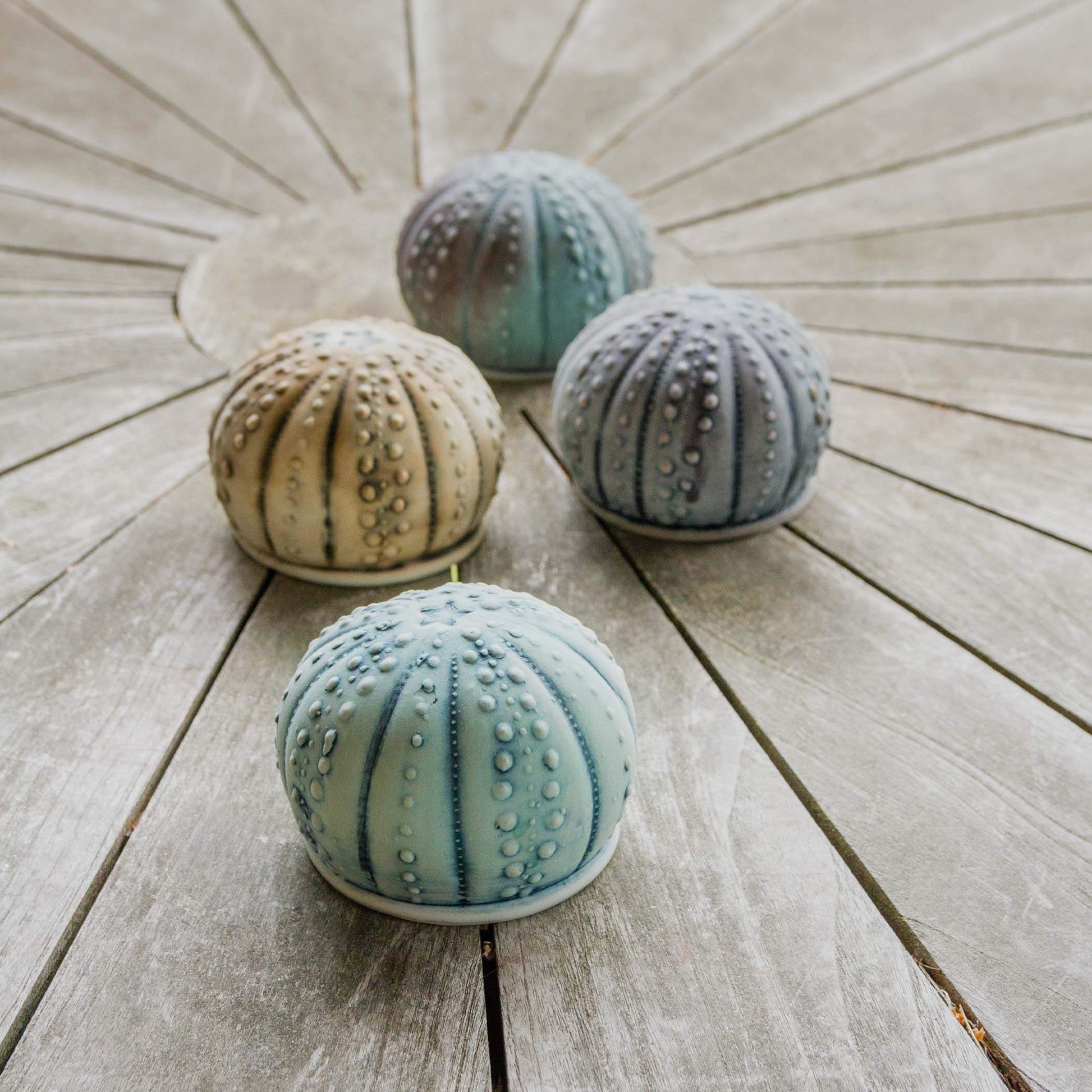 Handmade Salt Urchin Salt Shaker made by Carroccia Tony  in Italy