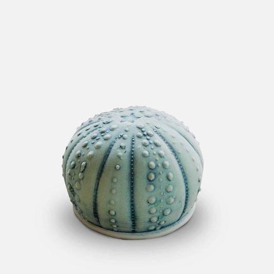 Handmade Salt Urchin Salt Shaker made by Carroccia Tony in Italy