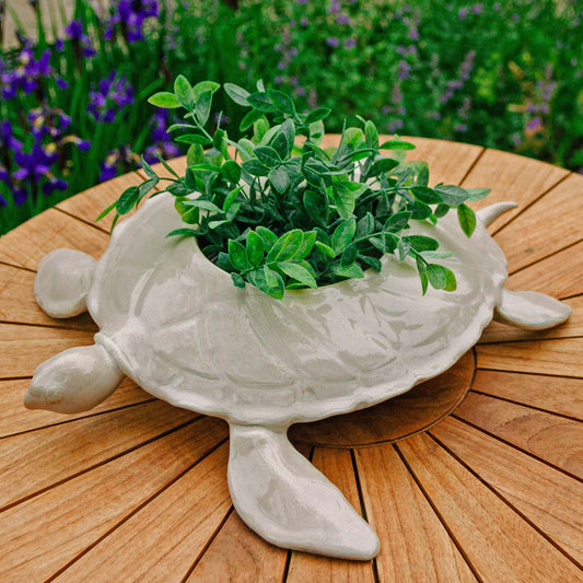 Handmade Pottery Turtle Sculpture Planter in Ivory glaze made by Carroccia Tony  in Italy